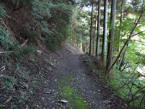 20151014hike (45)